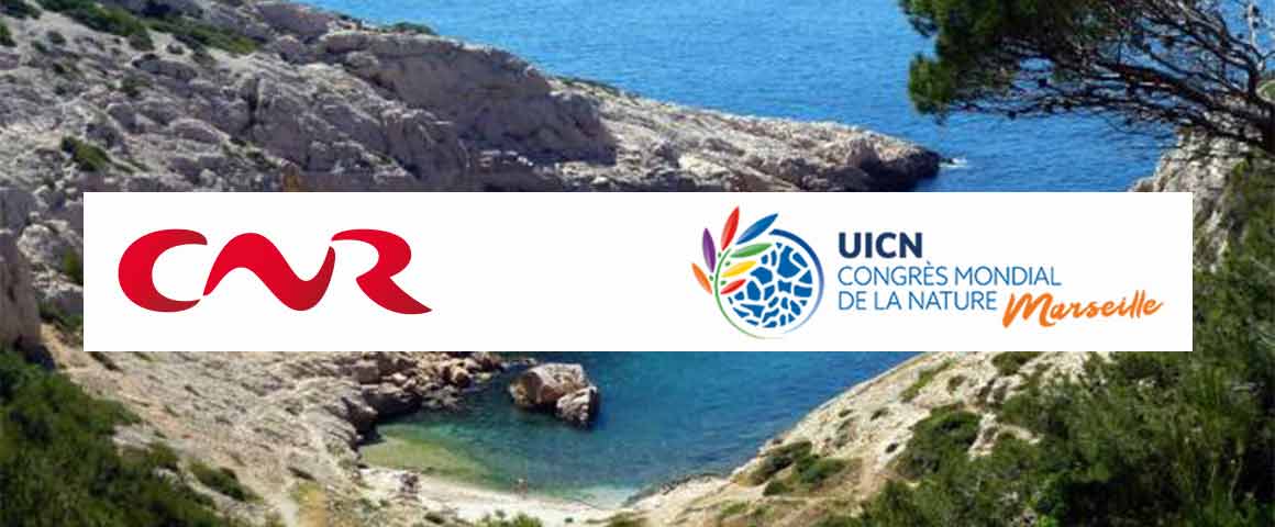 Préparation du Congrès mondial de la Nature